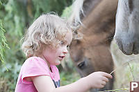 Kaylee Feeding Pony Grass