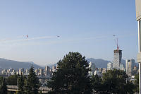 Snowbirds Weaving Over City