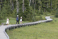 Walking Along Boardwalk