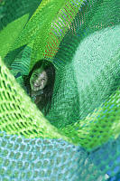 Claira Climbing In Net