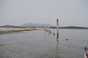 Old Pilings