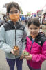 Snacks At The Market