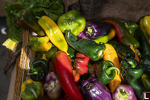 Colourful Peppers