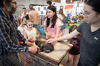 Bunny Petting Station