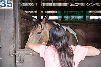 Claira Found Kind Horse