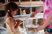 Madison Putting Egg In Basket