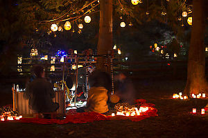 Band Playing Amoungst The Trees