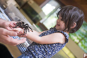 Claira With Tarantula