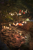 Salmon Lanterns Over Still Creek