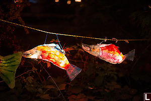 Salmon Lanterns