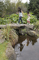 Walking Over Stone Bridge