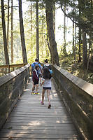 Bridges At Start Of Hike