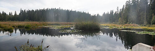 Beaver Lake