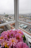 Box Of Flowers On A Rainy Day