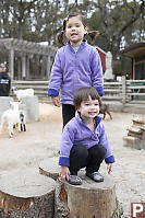 Nara And Claira Standing On The Stumps