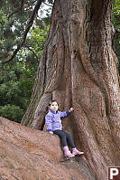 Nara On AClimbing Tree