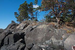 Petroglyph On Rocks