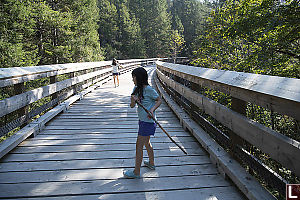 On Trestle Bridge Deck