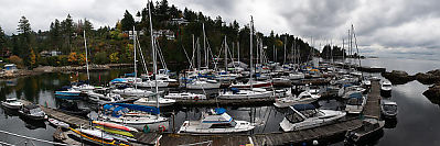 Eagle Harbour From Yacht Club