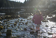 Nara Walking In Creek