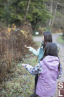 Hand Feeding Nuthatch