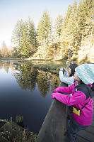 High Contrast Lake