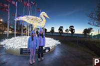 Kids With Great Blue Heron Lights