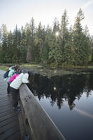 Pearing Into Lake