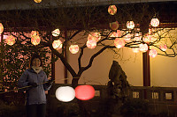 Helen With Tree Lit