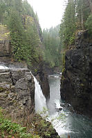 Elk Falls From Viewing Platform