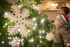 James Reaching For Ornament