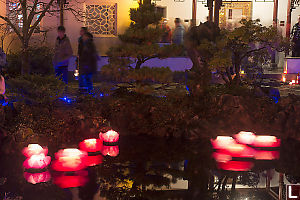 Crowds With Lotus Flowers In Pond