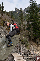 Bob On A Rock