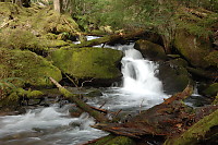 Waterfall At Start