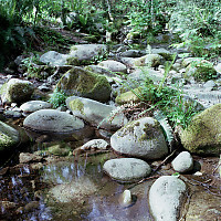 Rocks and Water