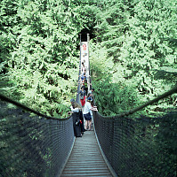 Suspension Bridge above Lynn Creek