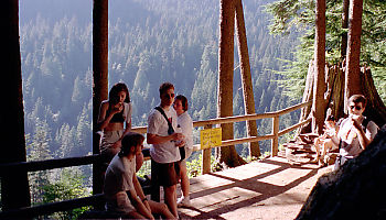 Lunch At Lookout