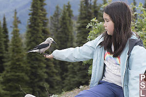 Nara With Clarks Nutcracker