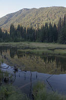 Beaver Pond With Reflection