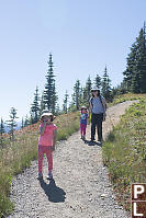 Walking Down Train In Subalpine Meadows