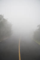 Foggy Road