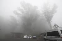 Hosmer Grove Parking In Fog