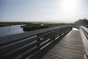 Boardwalk In Morning