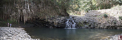 Upper Pool With Banyan Wall