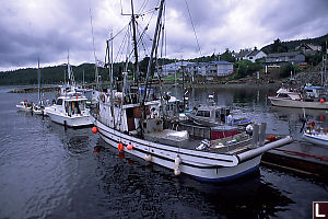 Boats in Bella Bella Harbour