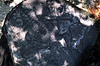 Rock with Petroglyphs