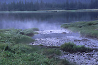 Eucott Hot Spring Flowing into Bay