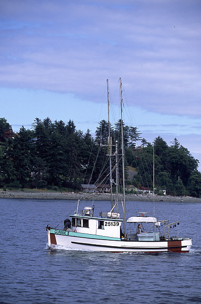 Fish Boat (Gunnie II)