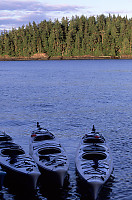 Kayaks in Water