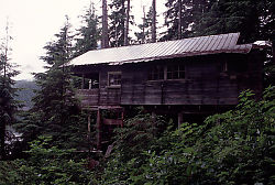 Cabin Without Exterior